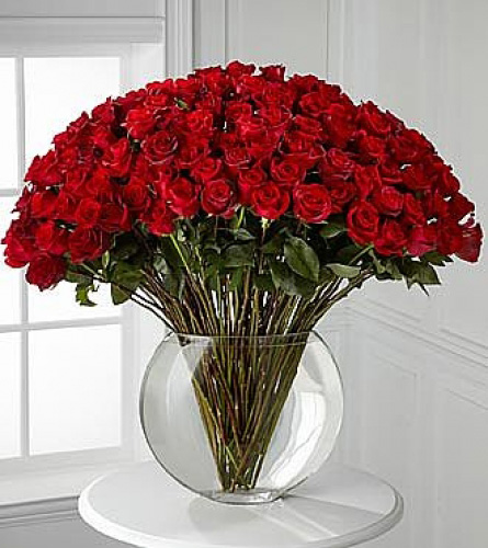 Angel of Love (100 Red Roses)